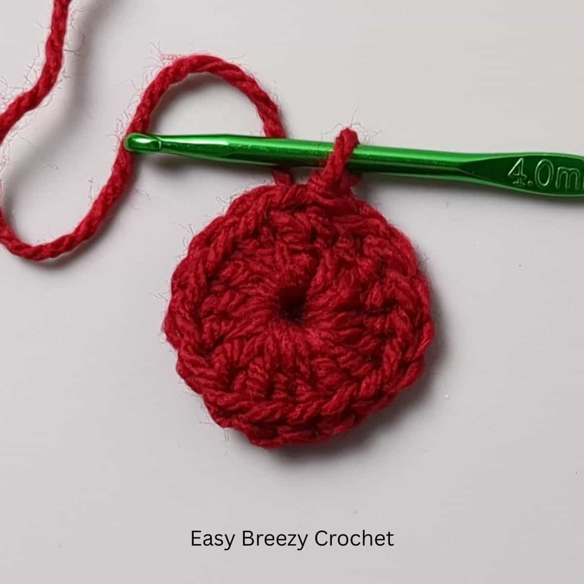 Red crochet circle.
