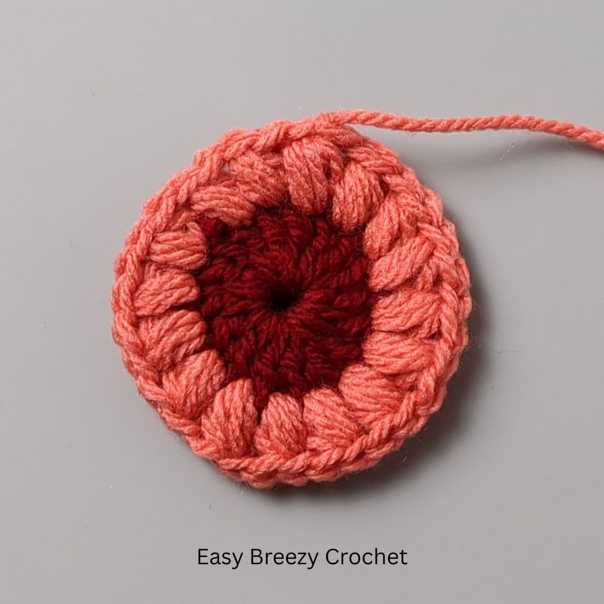 Puff stitch petal round on a sunburst granny square center.