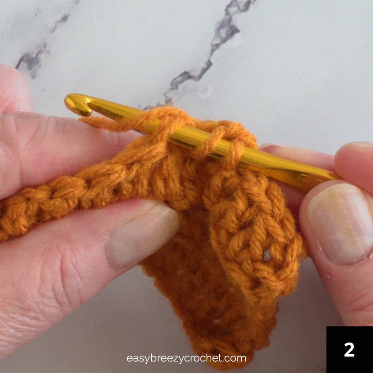 A crochet inserted into a stitch.