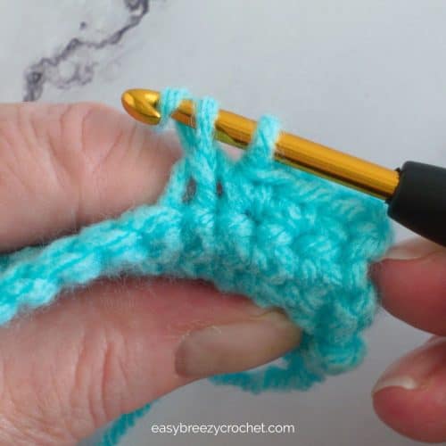 A crochet hook with stitches on it.