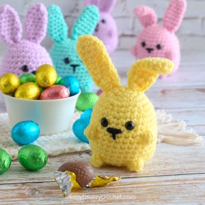 Crochet bunny.