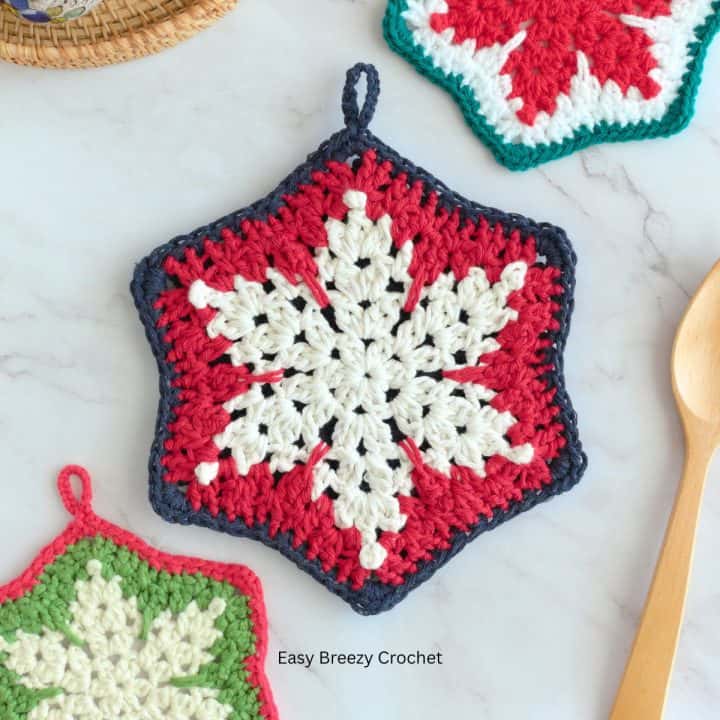 Red, white and blue snowflake crochet pot holder.