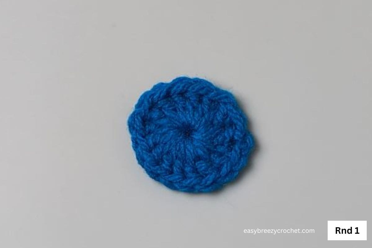 A blue crochet circle.