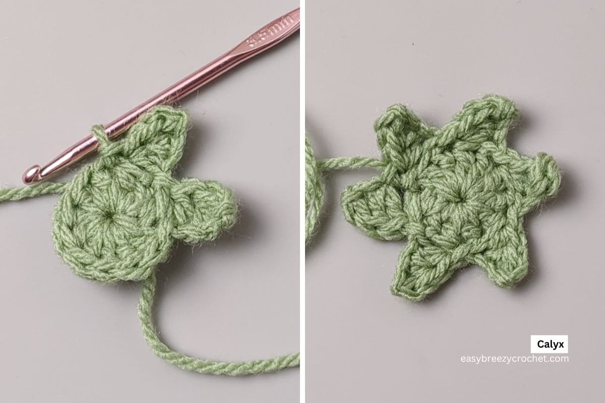 A two part image showing the various stages of a crochet calyx.