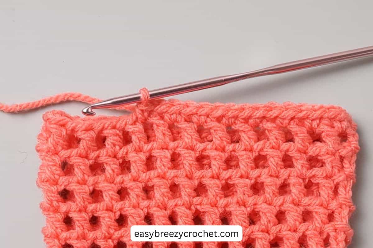 Single crochet stitches around the top edge of a crochet piece.