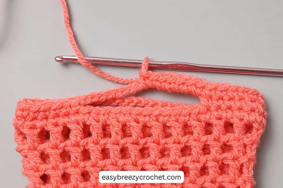 Single crochet stitches worked around chain stitches for a handle.