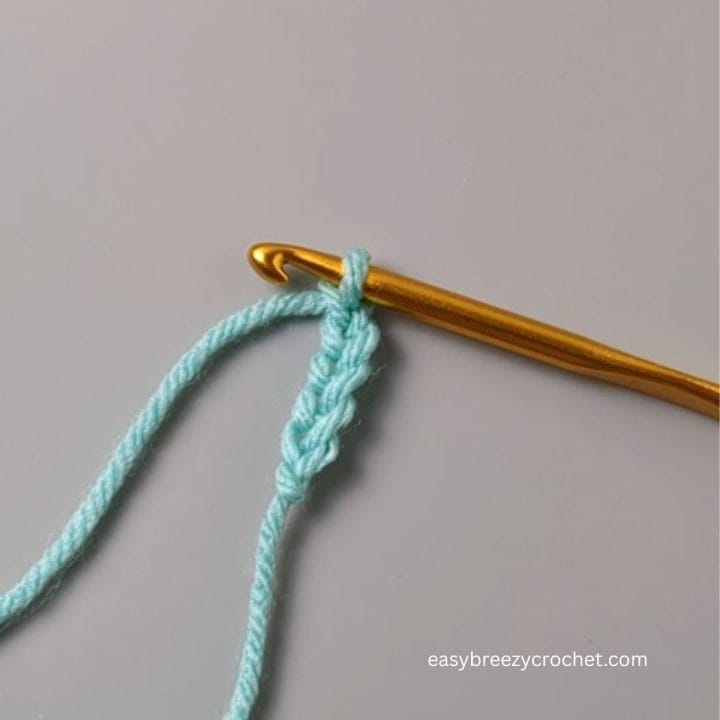 Crochet chain stitch.