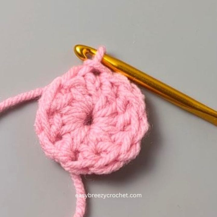 Crochet slip stitch.