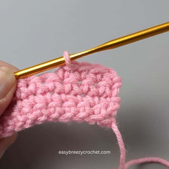 Single crochet stitch.