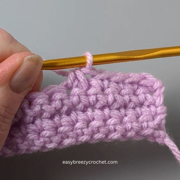 Single crochet two stitches together.