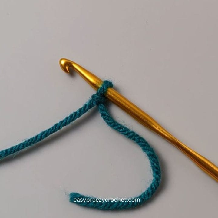 Crochet slip knot.