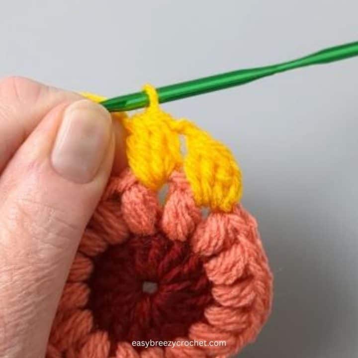 Double crochet 4 cluster stitch.