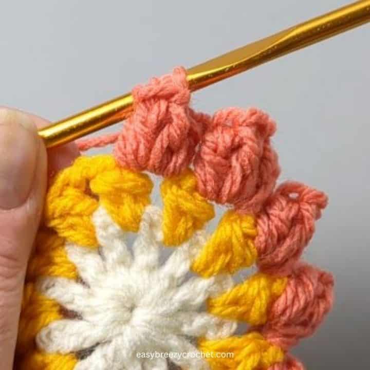 Crochet popcorn stitches .